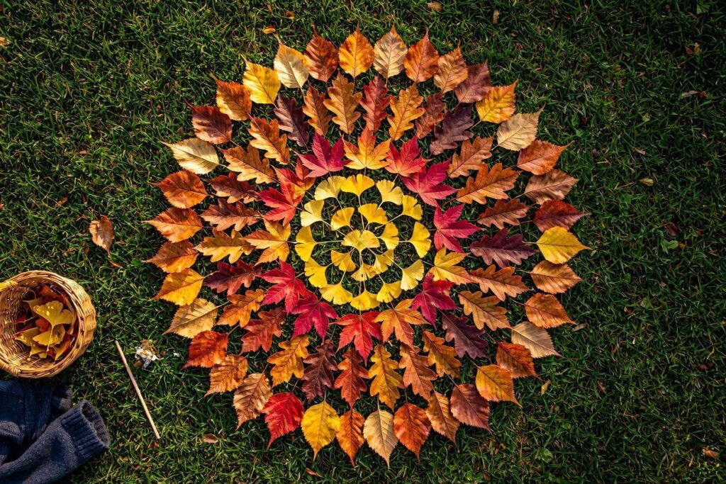 fall leaf mandala nature craft for kids